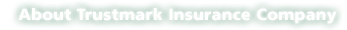 TDA Services About Us Trustmark